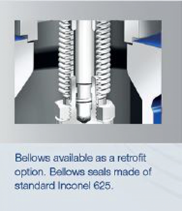 Bellows available as a retrofit option. Bellows seals made of standard Inconel 625.
